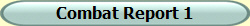 Combat Report 1